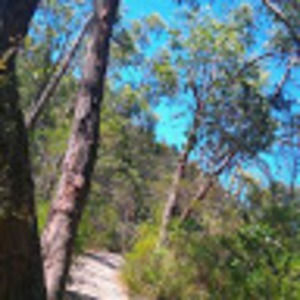 Meet your Posher, Jacobie